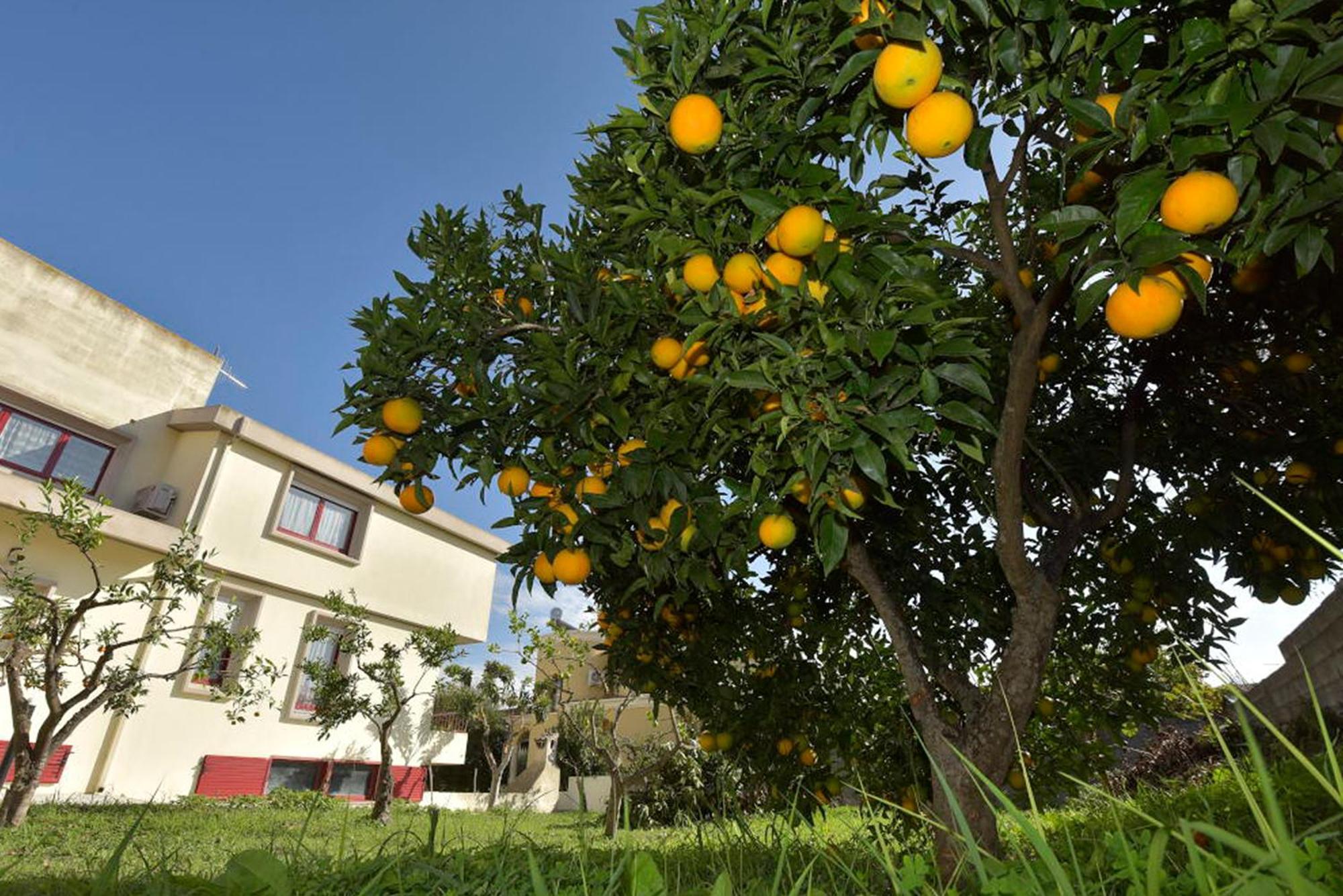 Villa Isola Bella - Costa Verde Mogoro ภายนอก รูปภาพ
